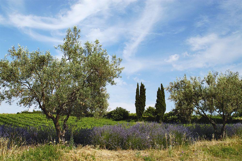 Hotel Les Jardins De Sainte-Maxime Bagian luar foto