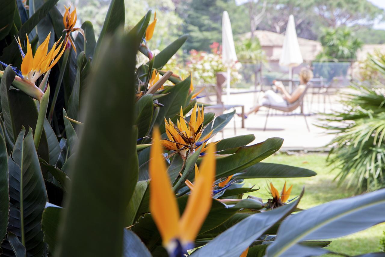 Hotel Les Jardins De Sainte-Maxime Bagian luar foto